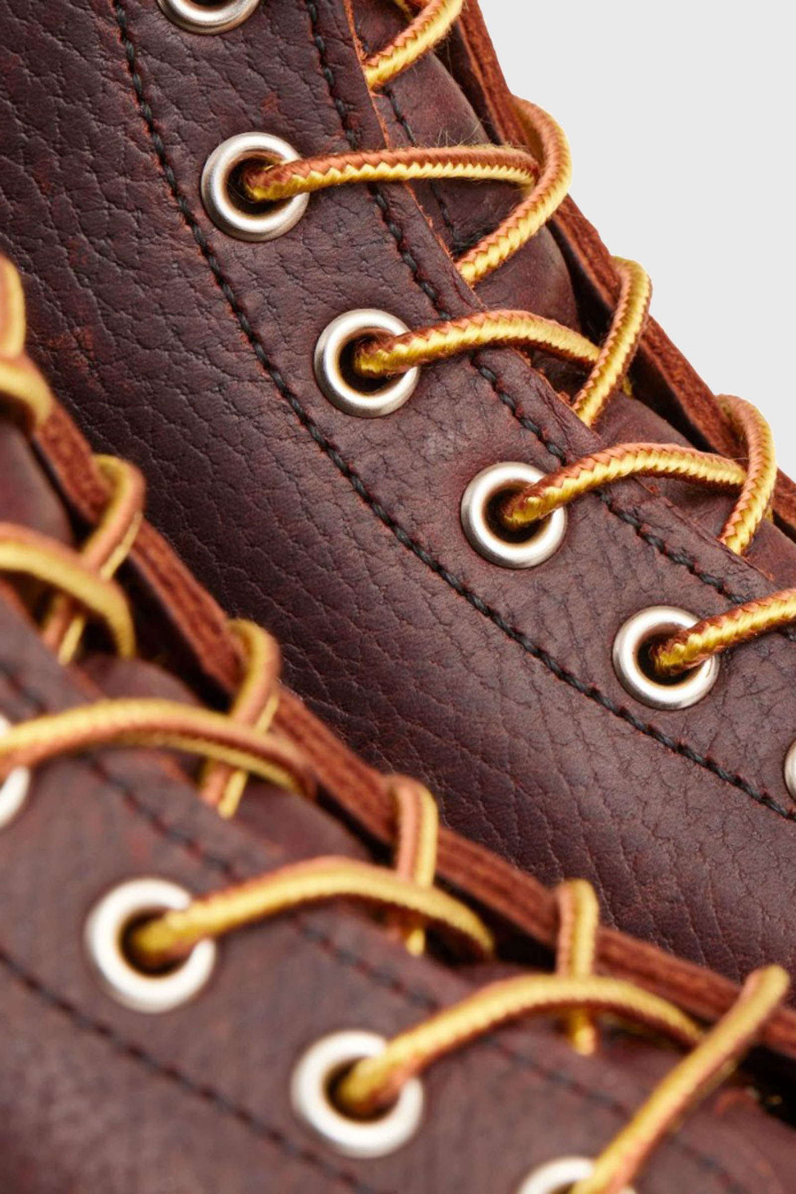 6-inch Boot In Briar Oil-slick Leather - 5