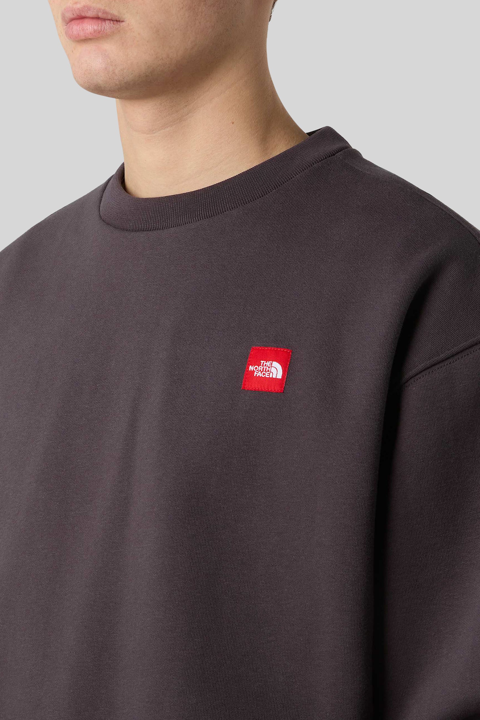 The North Face Felpa Girocollo Red Box Antracite Uomo - 2