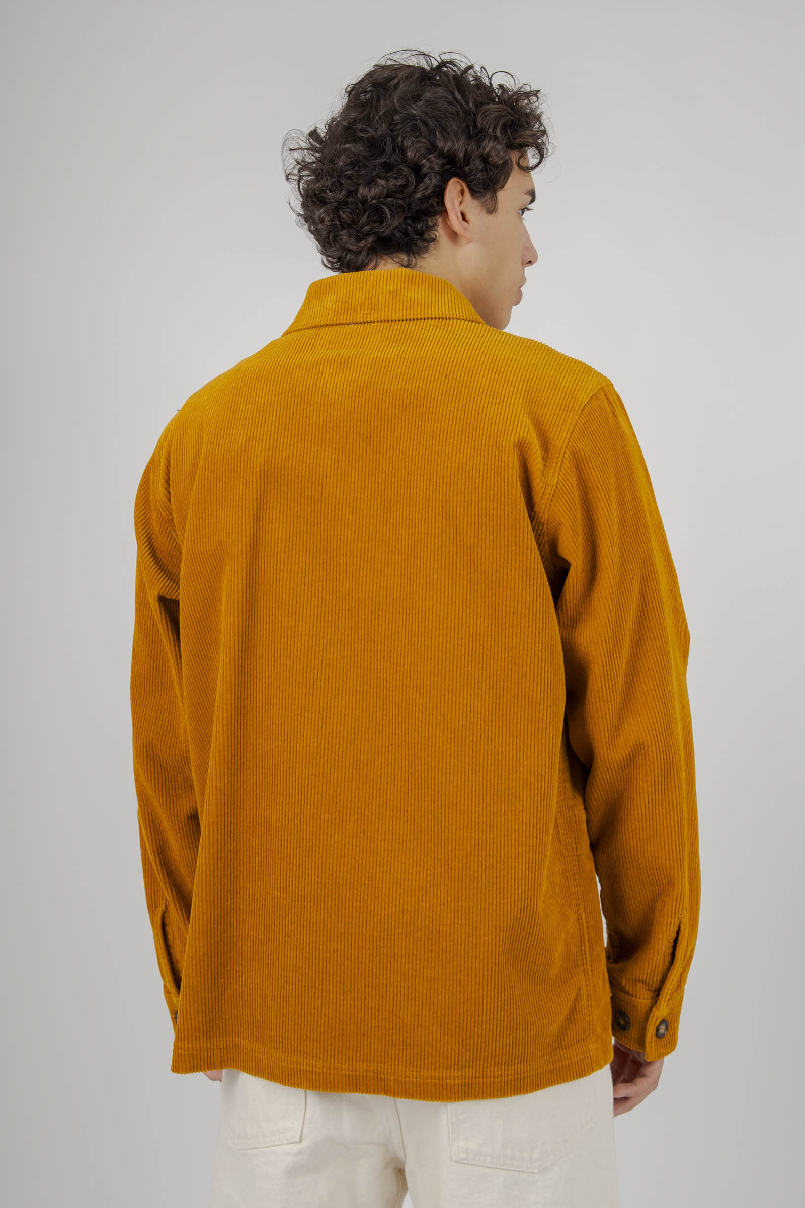 Sebago Giacca Dorr Corduroy Ocra Uomo - 3