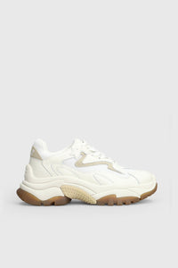 Ash Sneaker Addict Bianco/beige Donna ash