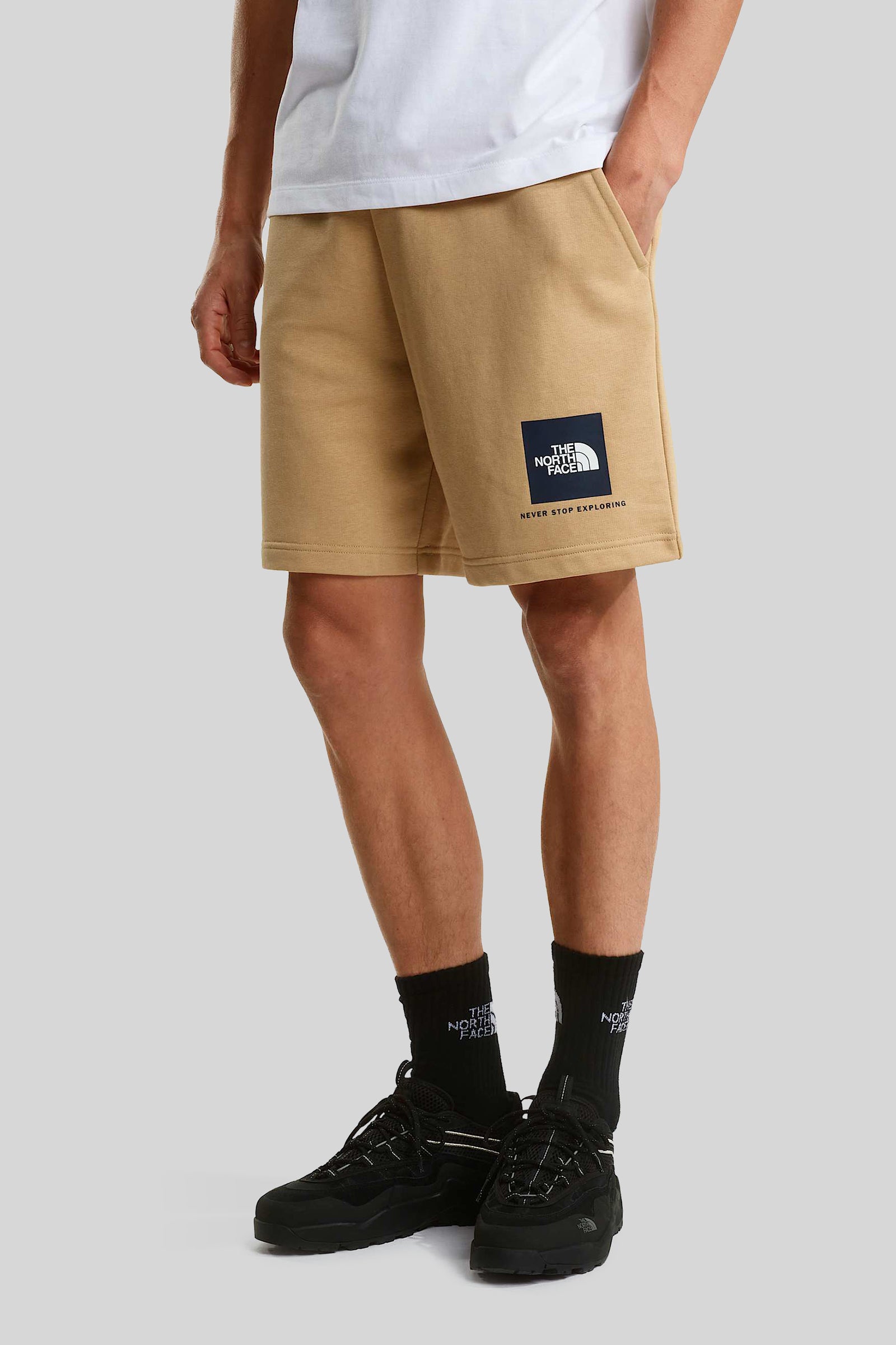The North Face Shorts Nse Box Light Regular Khaki Uomo - 2