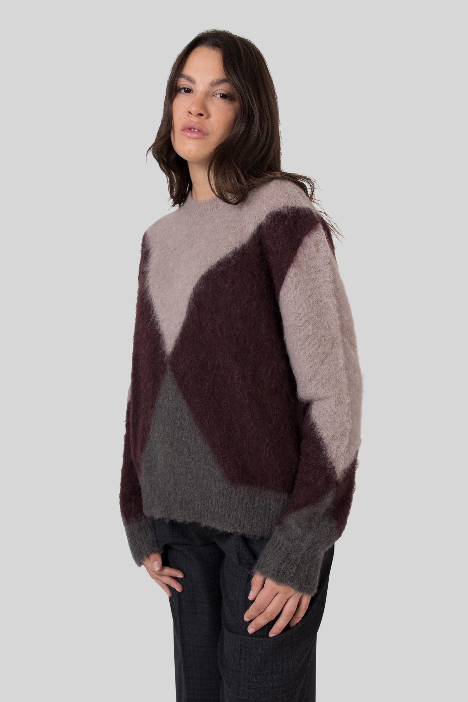 Grifoni Maglia Girocollo Intarsio Fango Donna - 5