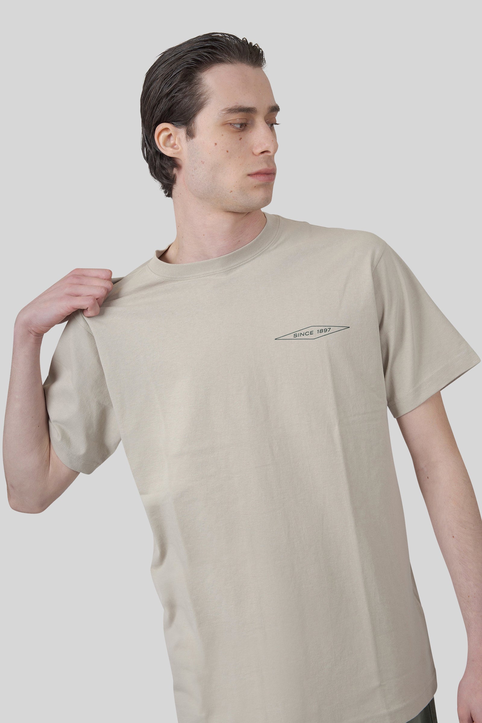 Filson T-shirt Diamond Graphic Tortora Uomo - 6