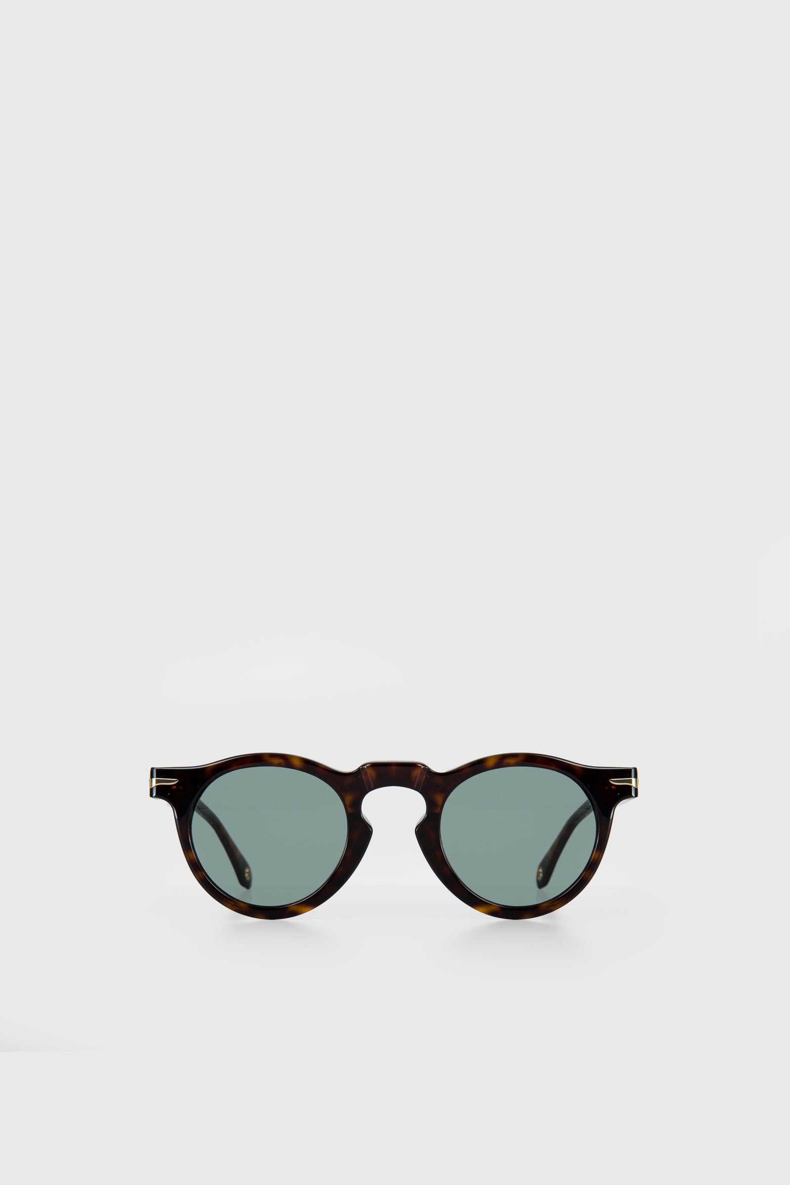 Havana Portland Sunglasses - 1
