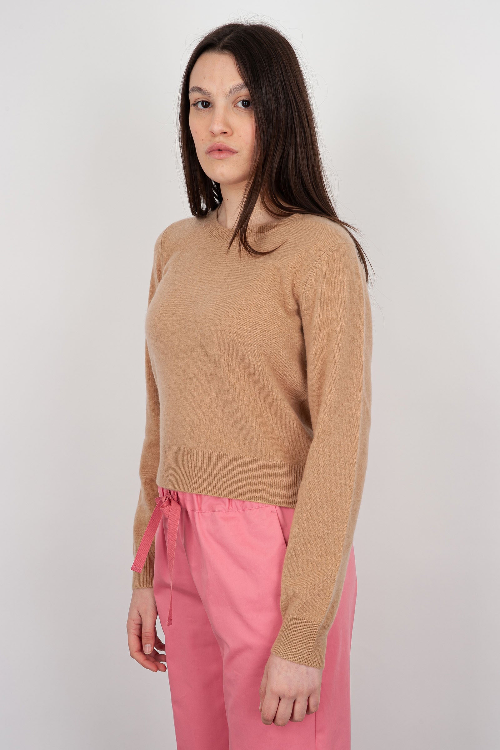 Absolut Cashmere Carlie Crew Neck Sweater in Sand Wool - 3